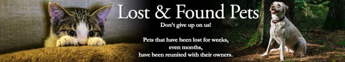 Lost Found Pets Ozark Radio News lost-found-pets-ozark-radio-news