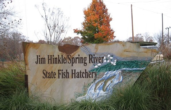 AGFC to hold pubic meeting on Spring River, trout plan