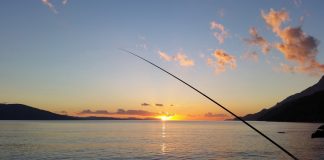 Learn all about fish cleaning with MDC virtual series starting March 4