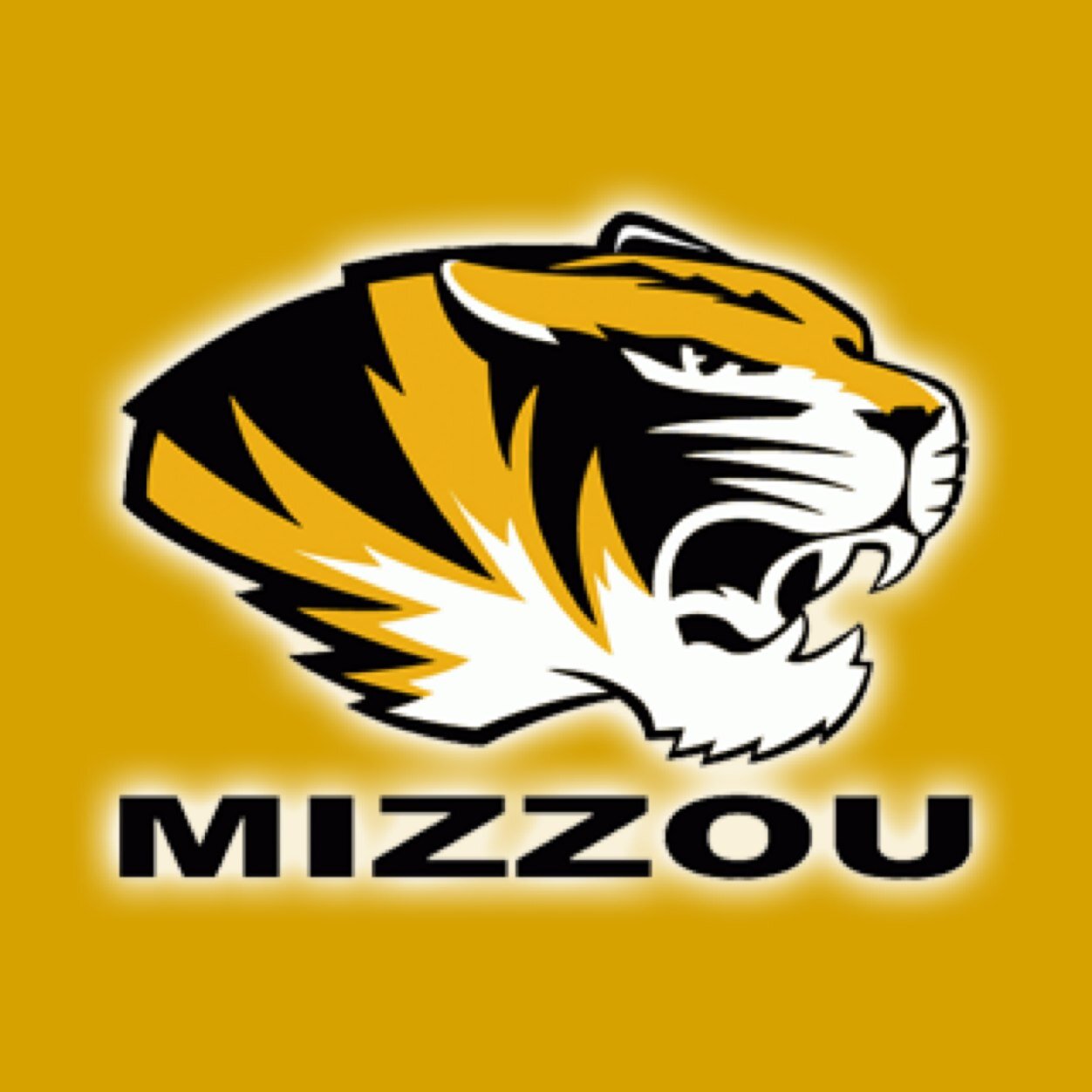 Mizzou Baseball Announces Taylor Stadium Fan Policy Ozark Radio News