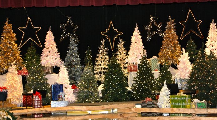 Toys for Tots Christmas Concert scheduled