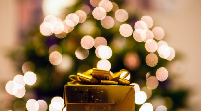 West Plains Chamber non-profit alliance helps coordinate fifteenth community-wide Christmas assistance program