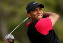 Tiger Woods Was Arrested For Suspicion Of DUI After Crashing His Land Rover