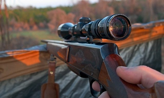 Hunter dies in Arkansas after deer he’d shot attacks him