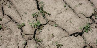 Drought Conditions Continue to Worsen; 2/3 of Arkansas in Burn Ban