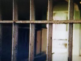 West Plains Pair Facing Two Felony Charges for October Theft