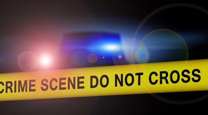 Body of missing 19-year-old woman found near Springfield