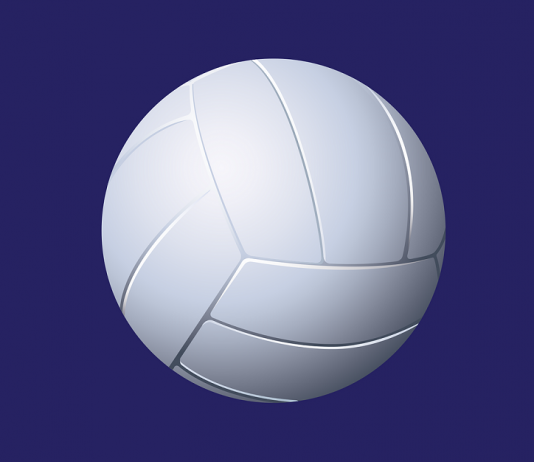 Class 2 District 9 2025 all district volleyball team.