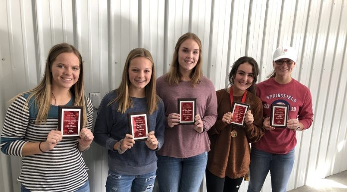 Zizzer Softball awards banquet held