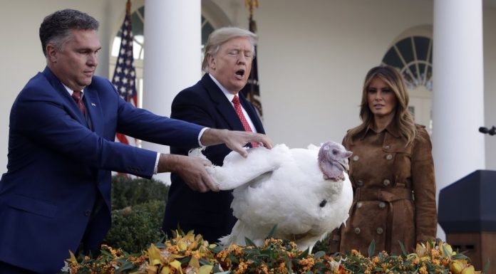 Trump tells impeachment jokes before pardoning turkey