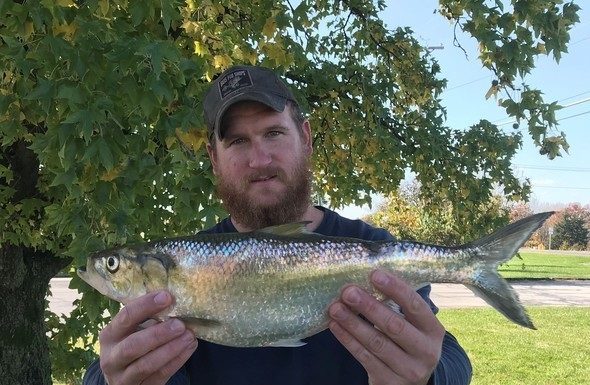 Osage County angler ties state record for skipjack herring