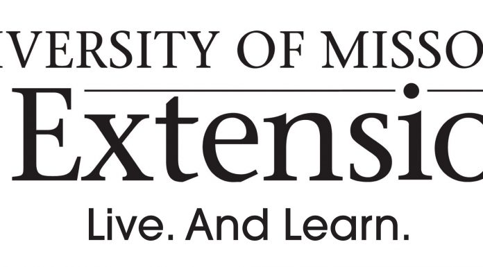 Final Day to Sign Up for How to Dine with Diabetes. Food Skills Class Offered by Howell County Extension