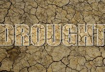 NWS Releases Current Drought Information in the Ozarks