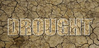 NWS Releases Current Drought Information in the Ozarks