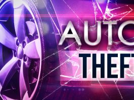 Cabool Man Charged with Stealing a Motor Vehicle