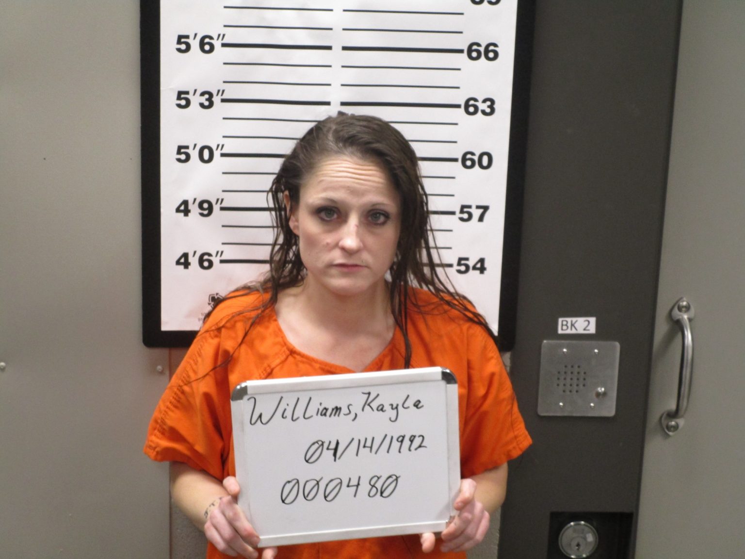 Douglas County deputy arrests three on multiple felonies Ozark Radio News