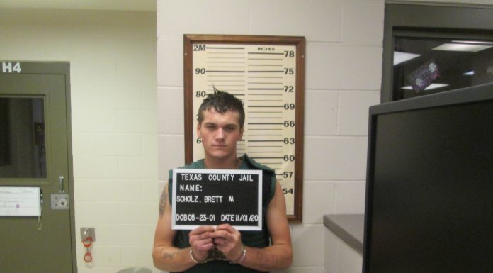 Texas Co. deputy arrests man attempting to flee scene of burglary