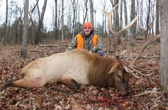 MDC reports elk hunters go five for five in inaugural elk hunt