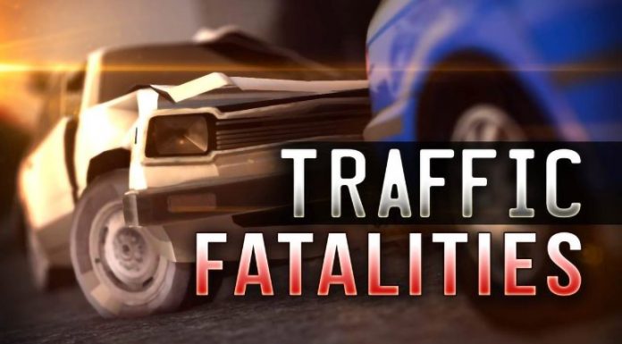 82-Year-Old Pedestrian From Mountain Home Hit in Searcy County