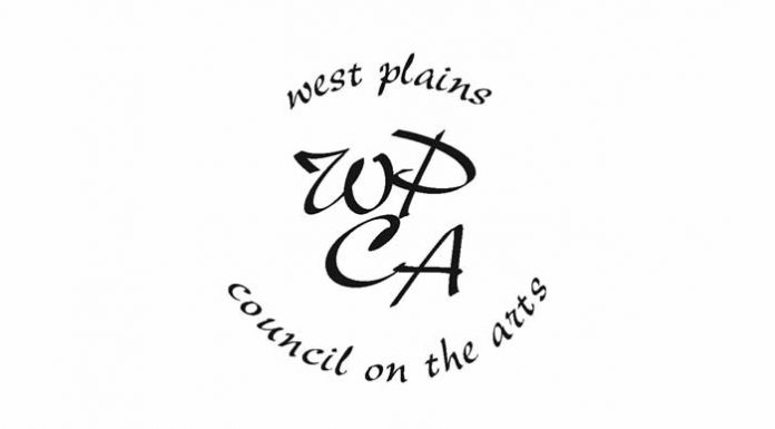 Volunteer Recruitment and Retention Program