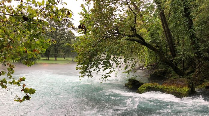 “Point and Shoot” photography hike at Big Spring
