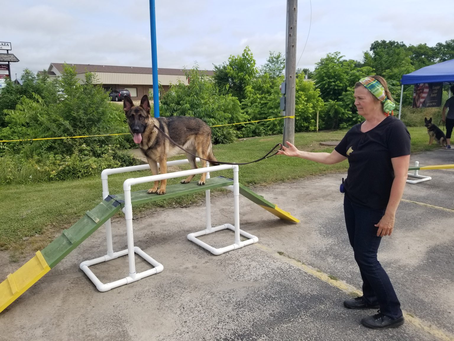Complete Canine Academy performs at All Pet Ozark Radio News