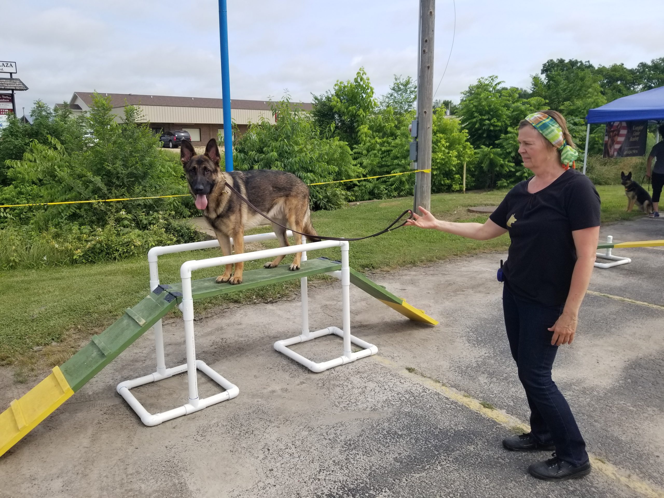 Complete sales canine academy