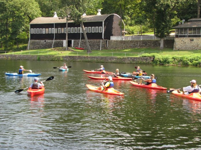 paddle