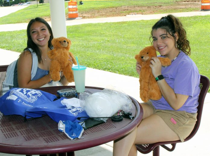 Welcome Week Build Your Own Grizzly Bear