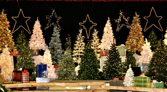 Senior Age Angel Trees give area elders a chance for a Christmas Gift