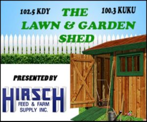 Hirsch Woodshed