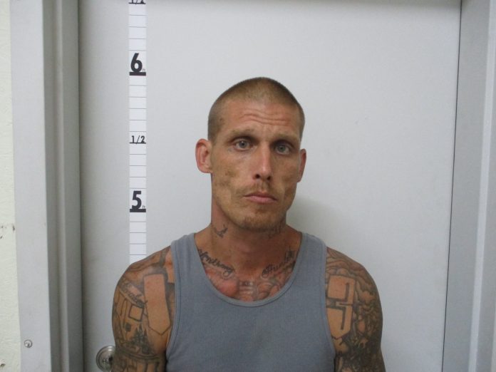 Multiple Thayer Police Department Arrests Including Domestic Assault