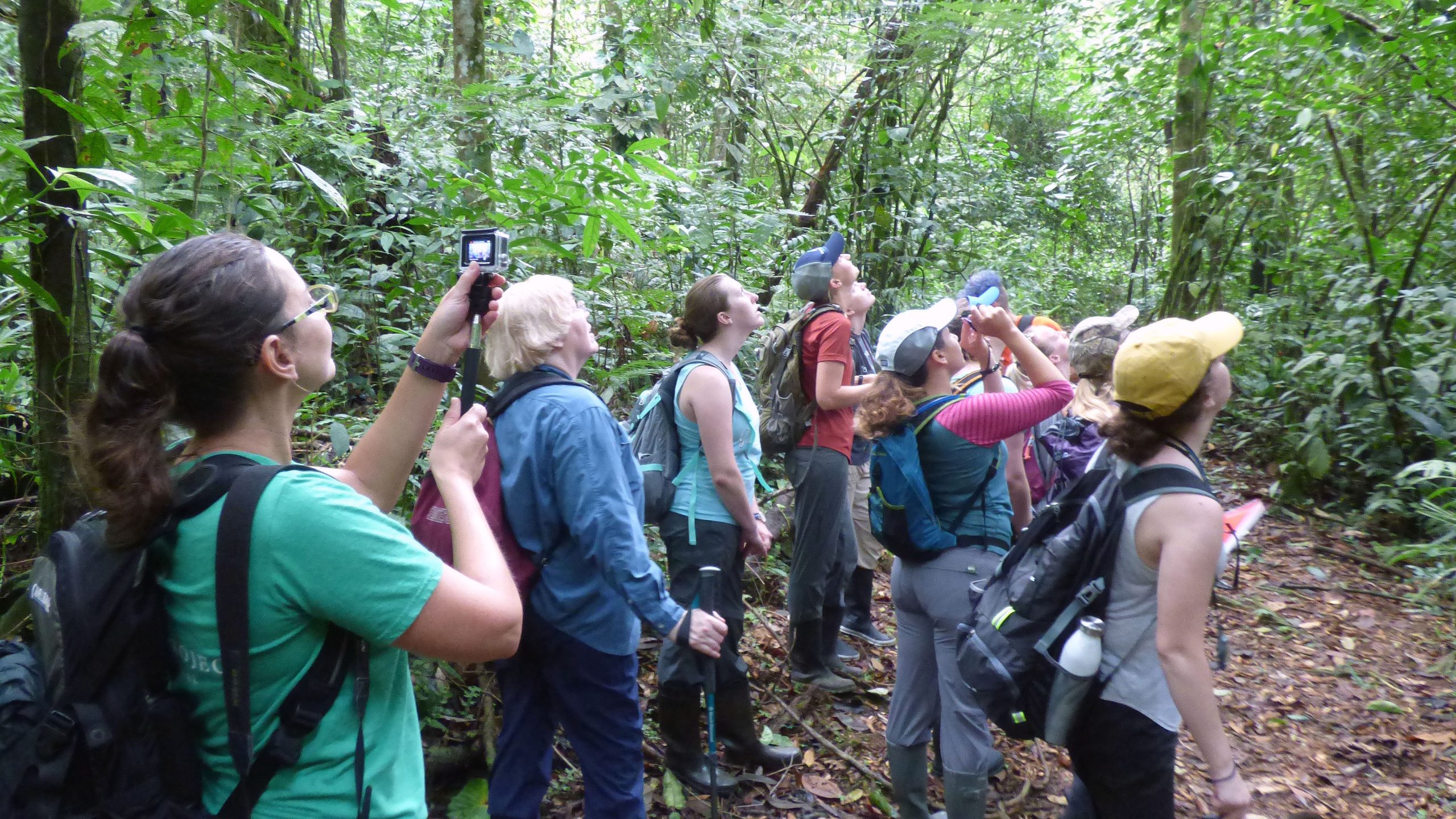 Photo of MSU-WP ofrece «programa de estudios a corto plazo en el extranjero en Costa Rica» Ozark Radio News