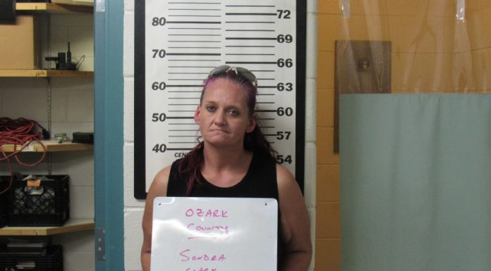 Ozark County Woman Indicted for Murder of Infant in 2015