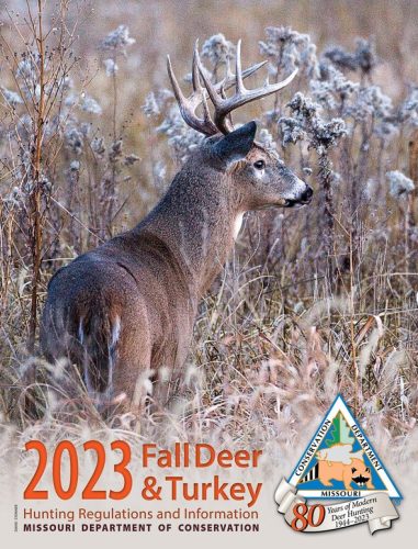 Tips to remember during Nov. Firearm Deer Season in Missouri - Ozark
