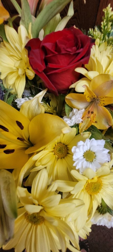 Michelle “Shelly” Trese Rogers