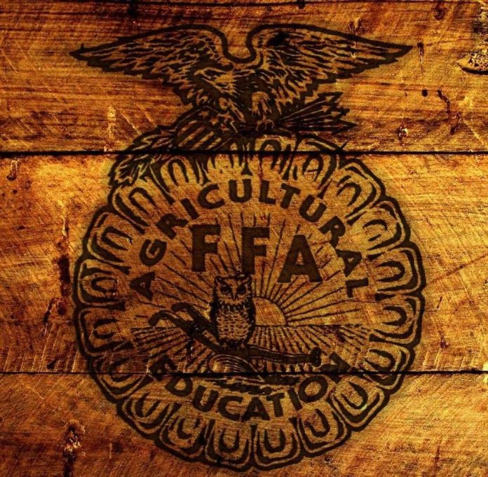 298452043_570611568095995_7823868940443460772_n