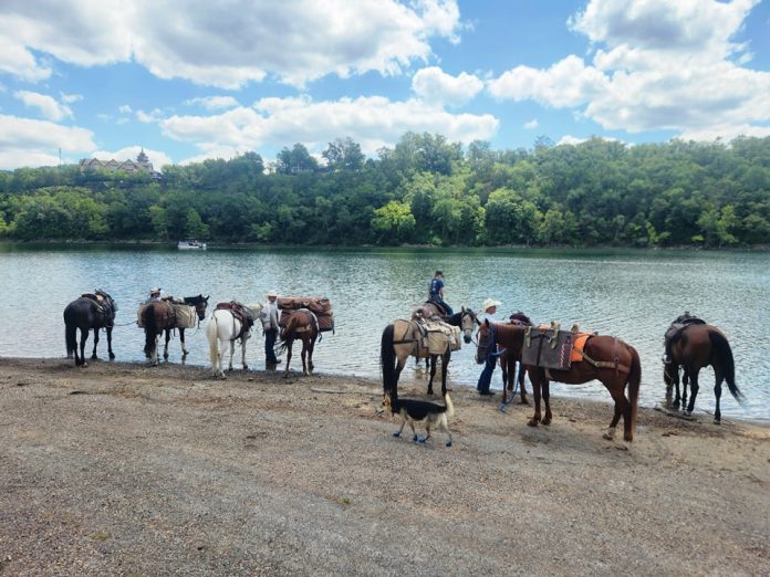 452056011_405043352567372_3741522643529118226_n