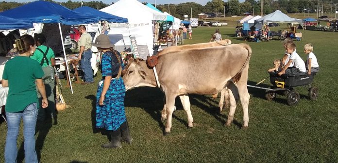 456718353_529588169738539_3753069013801402171_n