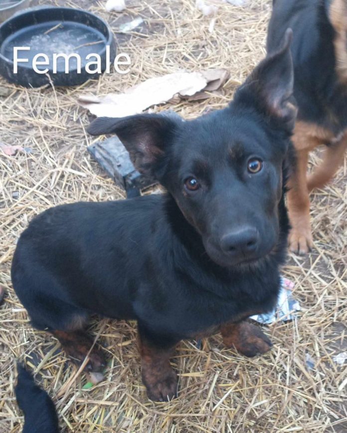 480292112_556880047375576_1016518104166868341_n