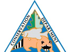 Open Letter from MDC Director Jason Sumners on CWD