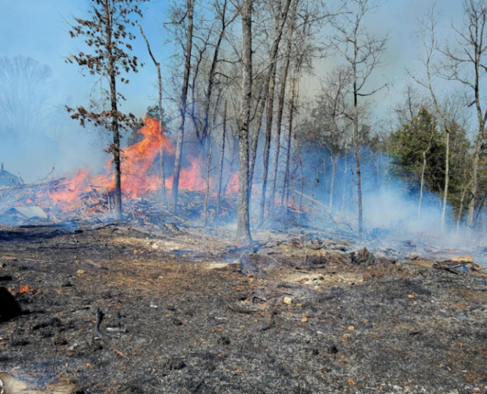 Screenshot 2025-03-13 101750