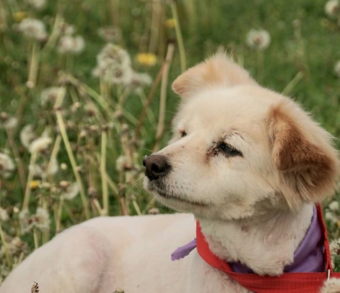 493263389_996604499313448_4101189568209747428_n