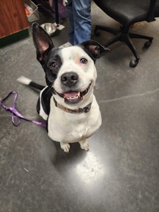 ca52a595-3fae-4d58-acda-3ce70f222785