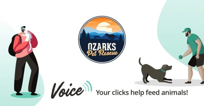 15304986945564692660