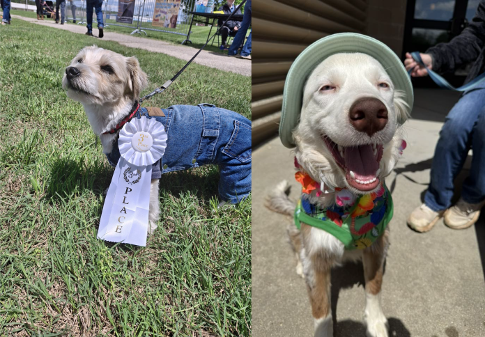 494699262_10232529200826771_5486189224174502879_n-3