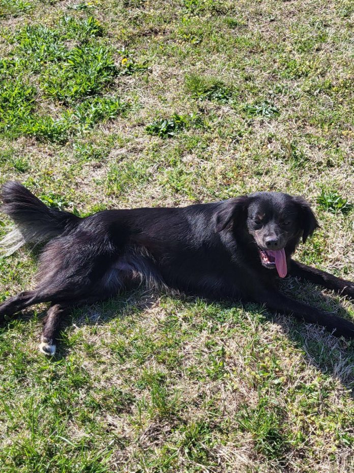 495371540_1107638868054135_462520993173576518_n