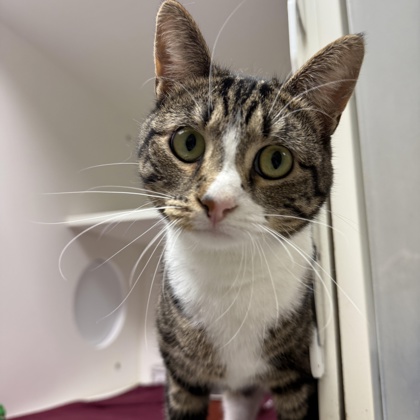 e98b686e-6bfb-4b8c-bfc5-34ce2d0292f0