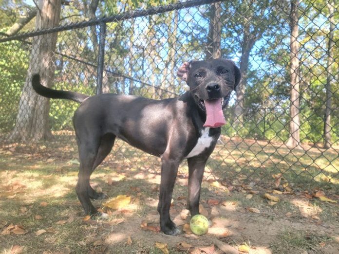 29083db0-f469-4ebe-8951-e9fe2dab71f9