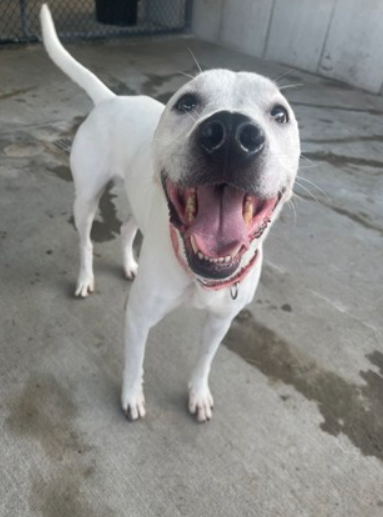 Screenshot 2025-07-14 134359